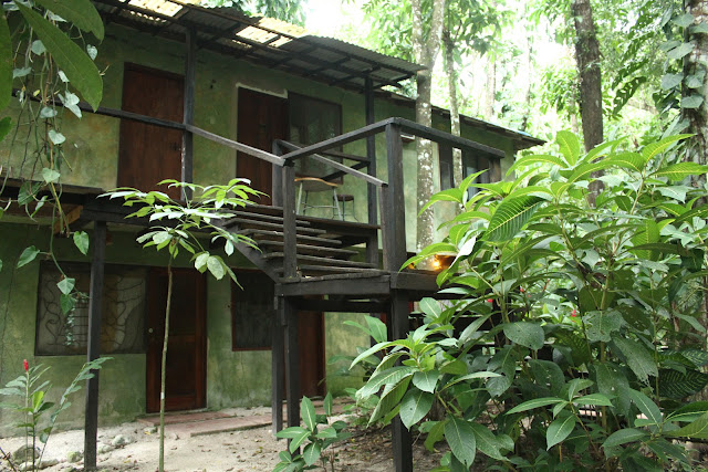 VISITAR PALENQUE - As Ruínas Maias que impressionam qualquer viajante | México