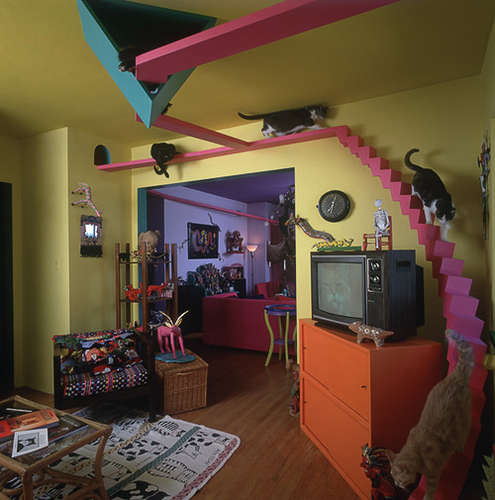 Colorful diy cat shelves and stairs (in use) going thru a house.