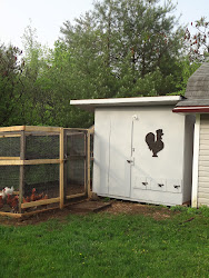 hen chicken painted coop done officially