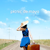 PICNIC - viaje, everfilter, camera