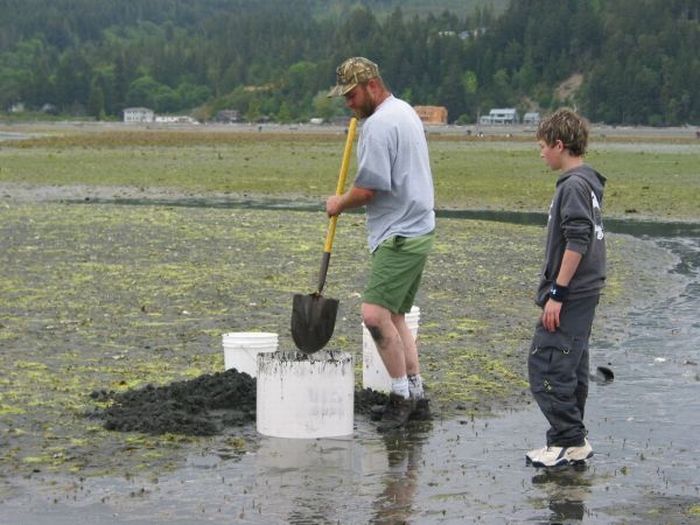 Funny Freast: The world's largest shellfish