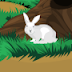 TEG Weird Garden Escape TEG Weird Garden Escape