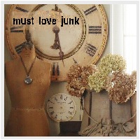 must love junk