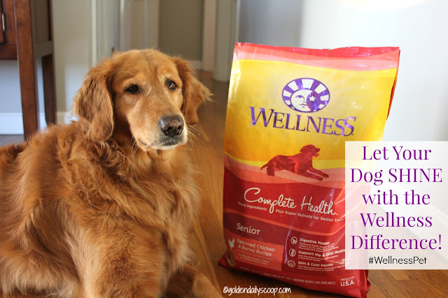 Let Your Dog Shine with the Wellness Difference #wellnesspet #ad Wellness Complete Health dog food for senior dogs