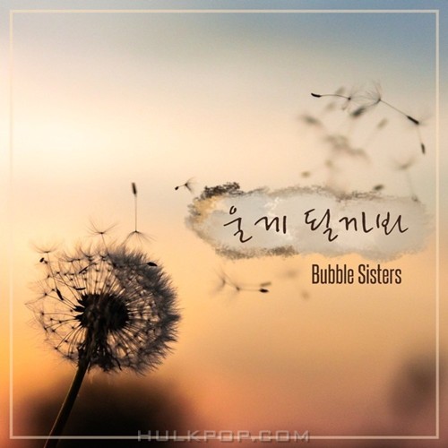 Bubble Sisters – 울게 될까 봐 – Single