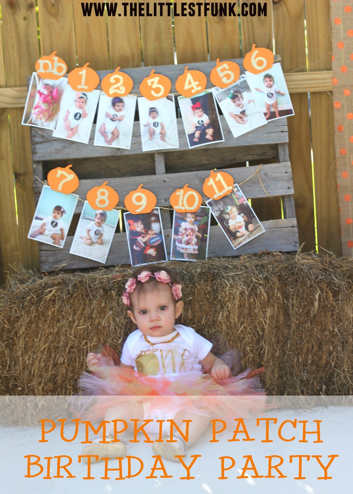 pumpkin first birthday outfit boy