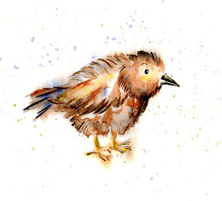 The Toymaker's Journal: Watercolor Birds and Fish