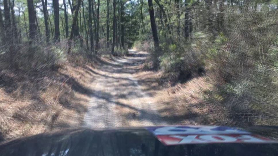 Bigfoot Spotted in Jersey Pine Barrens