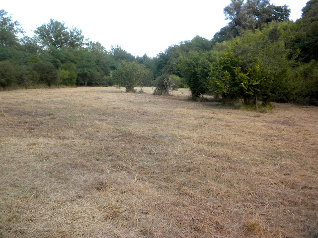 campo della raia