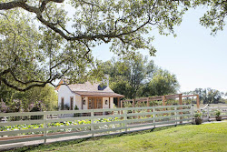 fixer joanna gaines chip garden shed upper magnolia farmhouse backyard she hgtv landscaping jo farms spring faves onecountry potting homebody