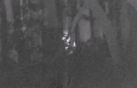 New Breakdown Video Skunk Ape Thermal Footage