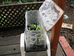 greenhouse mini build wire attach roots need plastic sheeting windowsill inside duty heavy nourishment