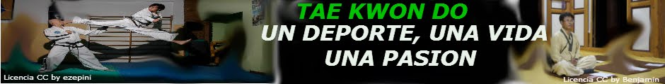                     TAE KWON DO