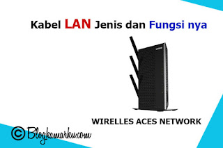 Kabel LAN Jenis dan Fungsi nya
