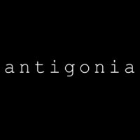 Antigonia