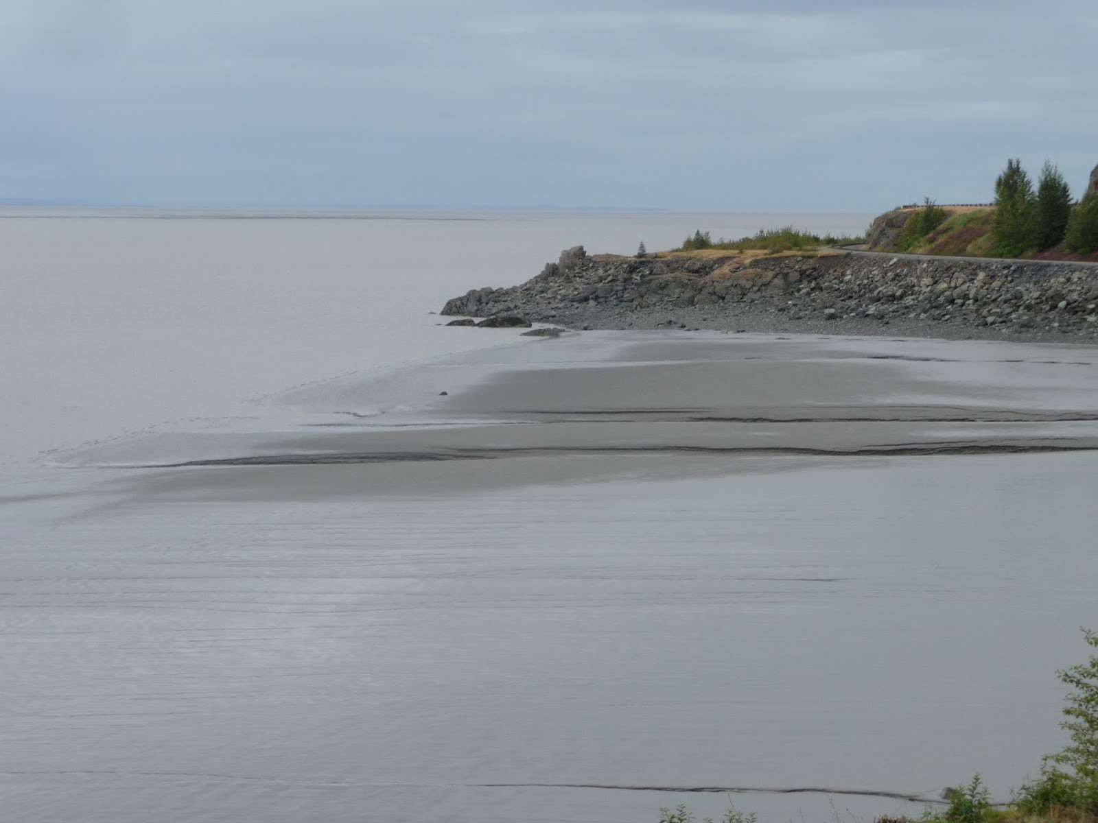 One month in Alaska 2015 July 28, 2015Breakfast at Snow City Cafe
