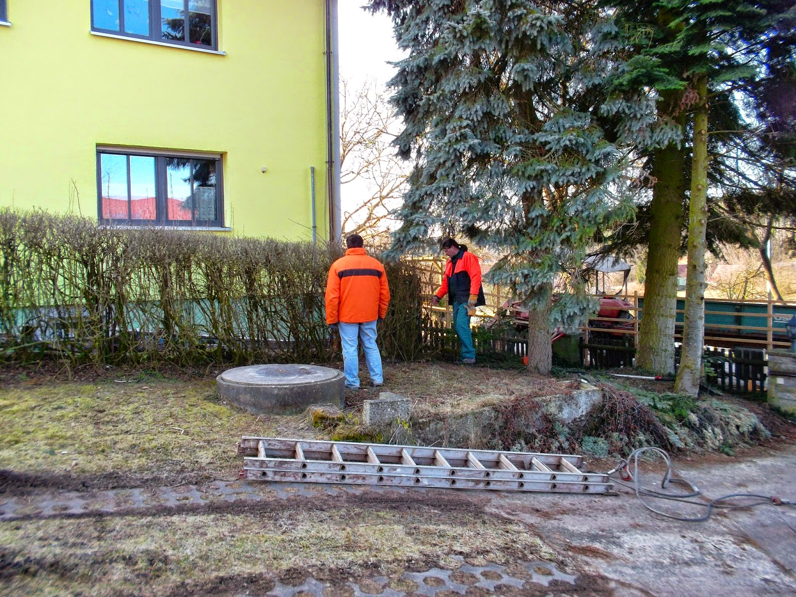 März 2012, erstes Jahr im aktuellen Garten (c) by Joachim Wenk März 2012, erstes Jahr im aktuellen Garten (c) by Joachim Wenk