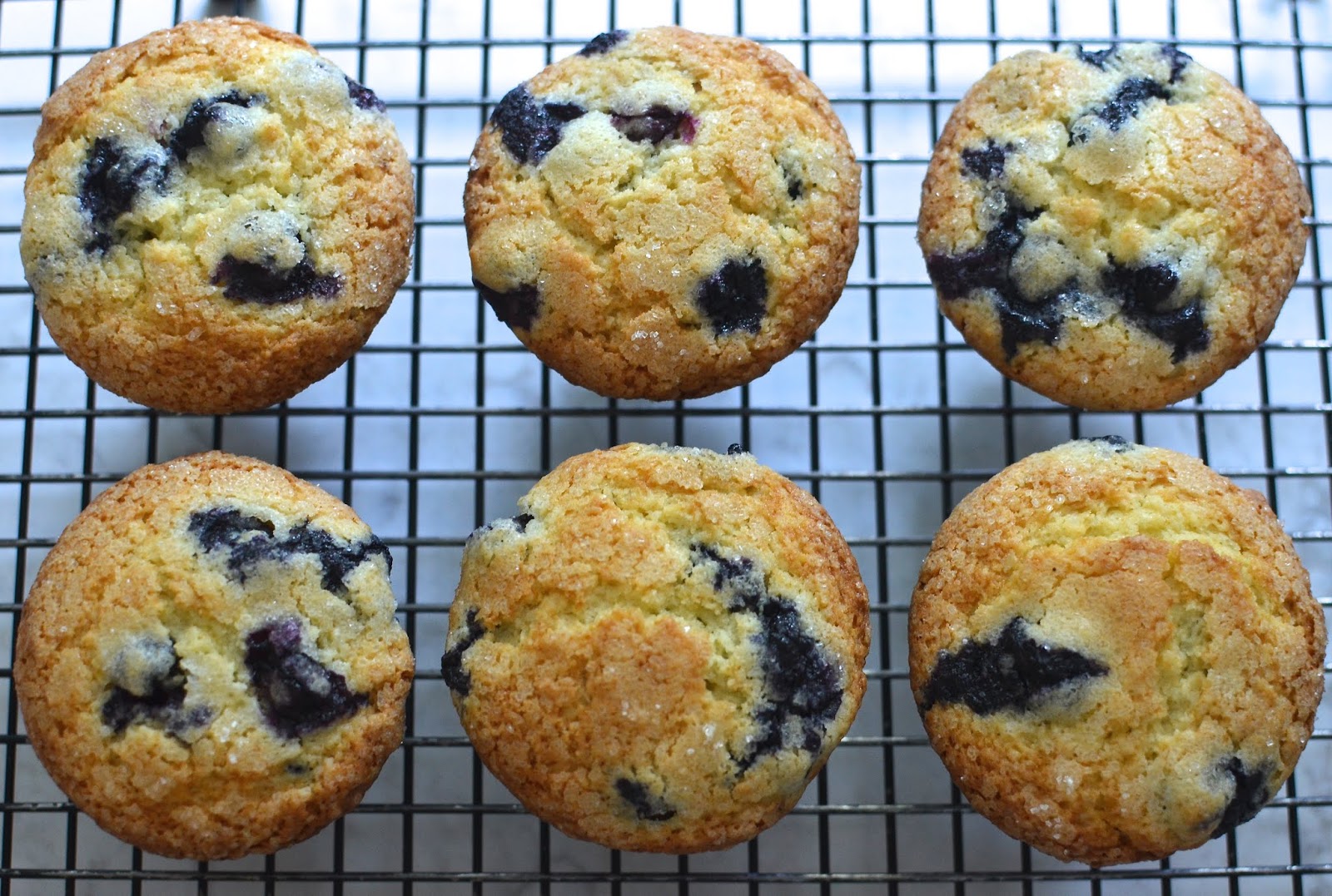 Playing with Flour Jordan Marsh's blueberry muffins