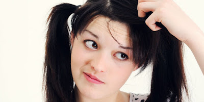 ialah binatng parasit yang hidup di rambut kepala manusia 4 Tekhnik Membasmi Kutu Rambut Secara Alami