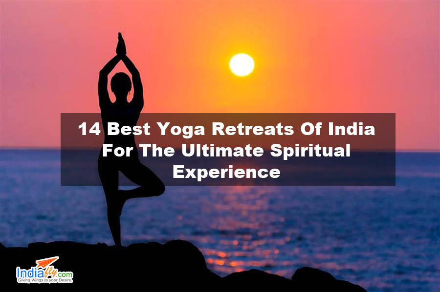 Bulksmsmantra.com | Bulk Sms Service Provider in India : 14 Best Yoga