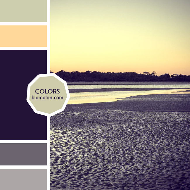 variedad en color moodboards 3d variedad_en_color_moodboards_3d