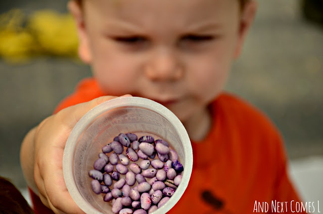 Toddler playing with sensory bean bin