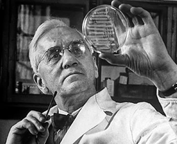 The Fantastic World of Microbiology and Parasitology October 2013