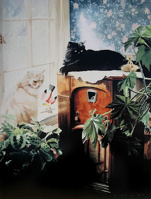 Яндекс-картинки Cat6