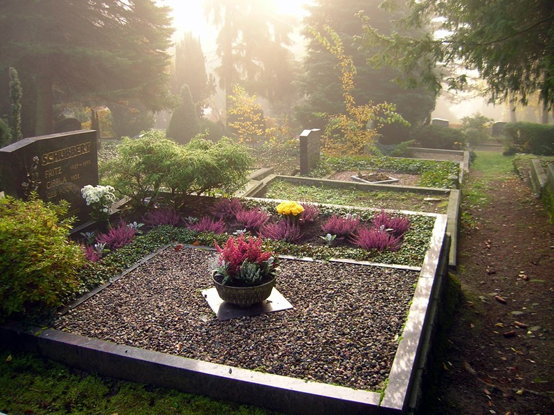 Названия многолетних цветов на могилы