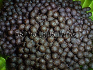 jsp , jamu sri perawan , makjun kampung
