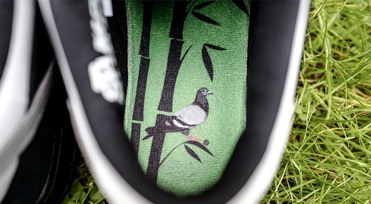 panda pigeon release