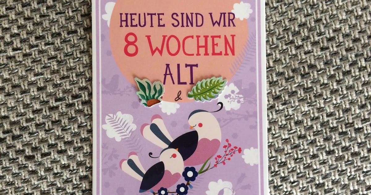 Liebevoll Familie Leben 8 Wochen Mit Zwillingen Herzensbande