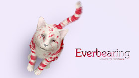 The sims 3 cc m kitten The sims 3 cc m kitten