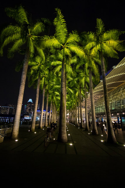 Marina bay di notte-Singapore