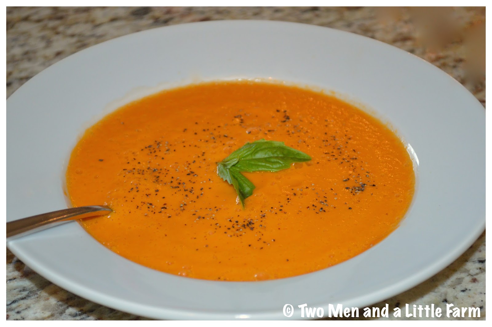 Two Men and a Little Farm FRESH TOMATO BASIL SOUP IN THE VITAMIX
