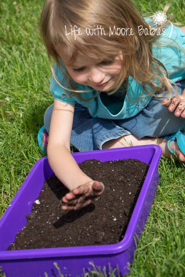 Dirt Sensory Bin Challenge Life with Moore Babies