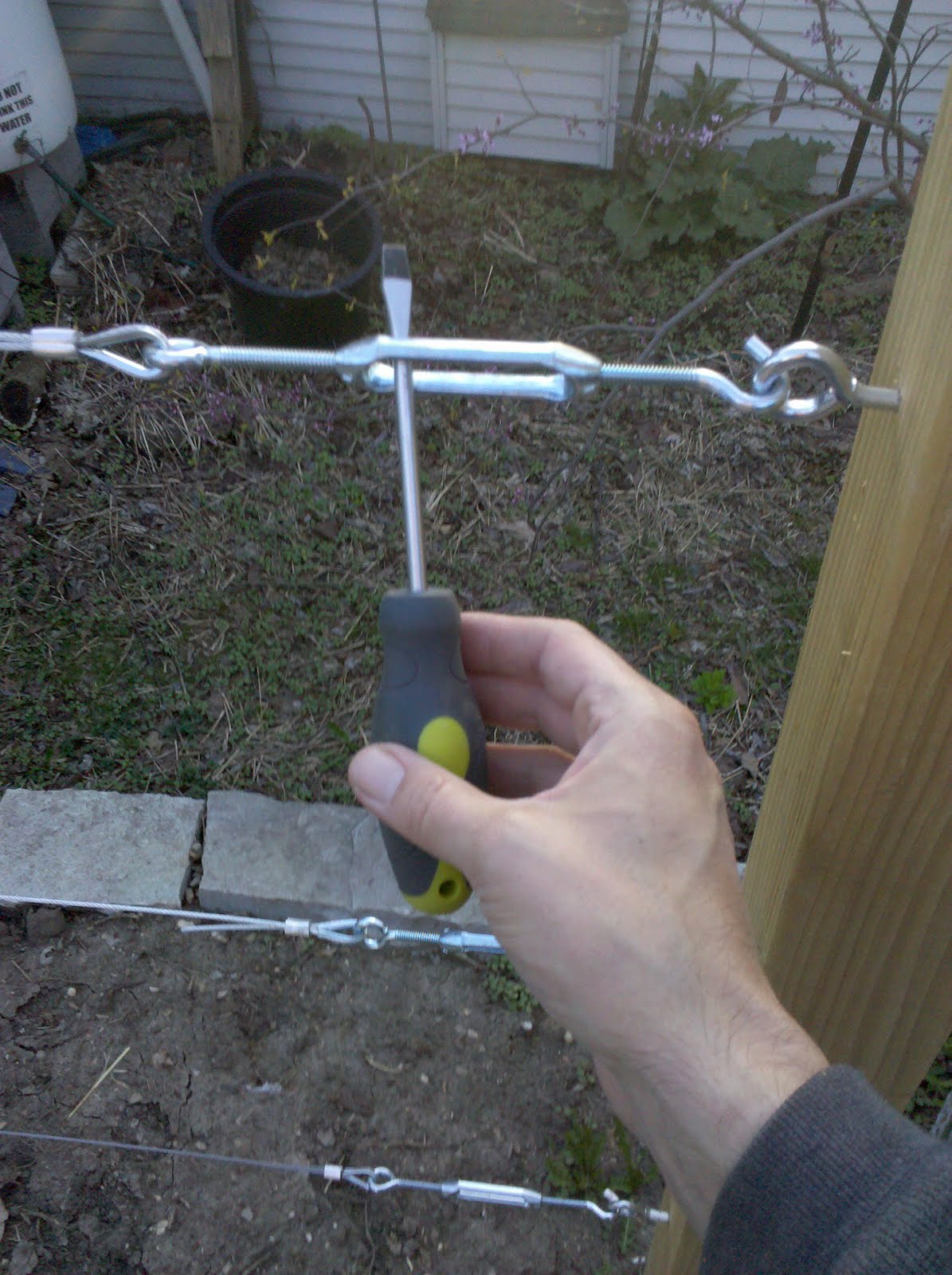 Espaliers and Backyard Fruit Production Building a Wire Support System