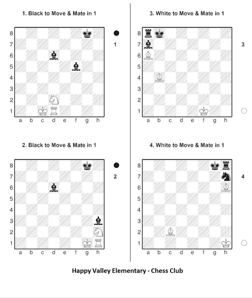 Chess worksheets for beginners pdf image