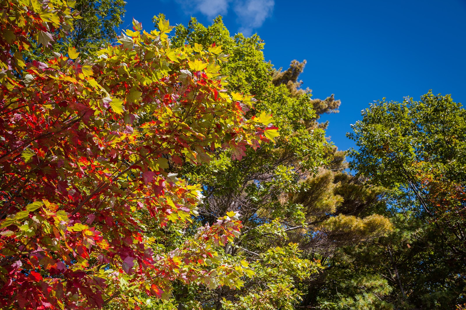 30,000 Islands of Bay The Largest Freshwater Archipelago