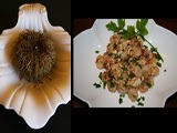 Revuelto de Oricios y Gambas