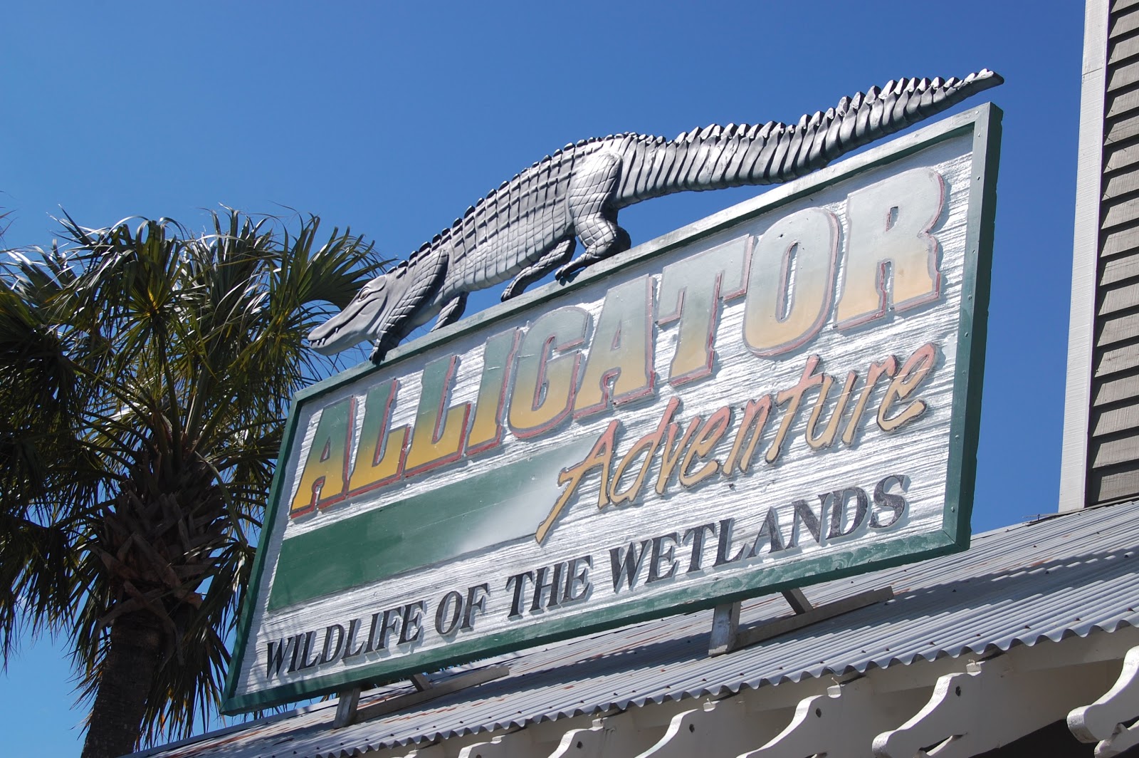 Alligator Adventure Myrtle Beach, South Carolina Review