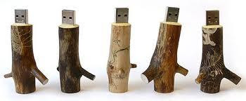 Stickuri Memorie USB ... Naturale