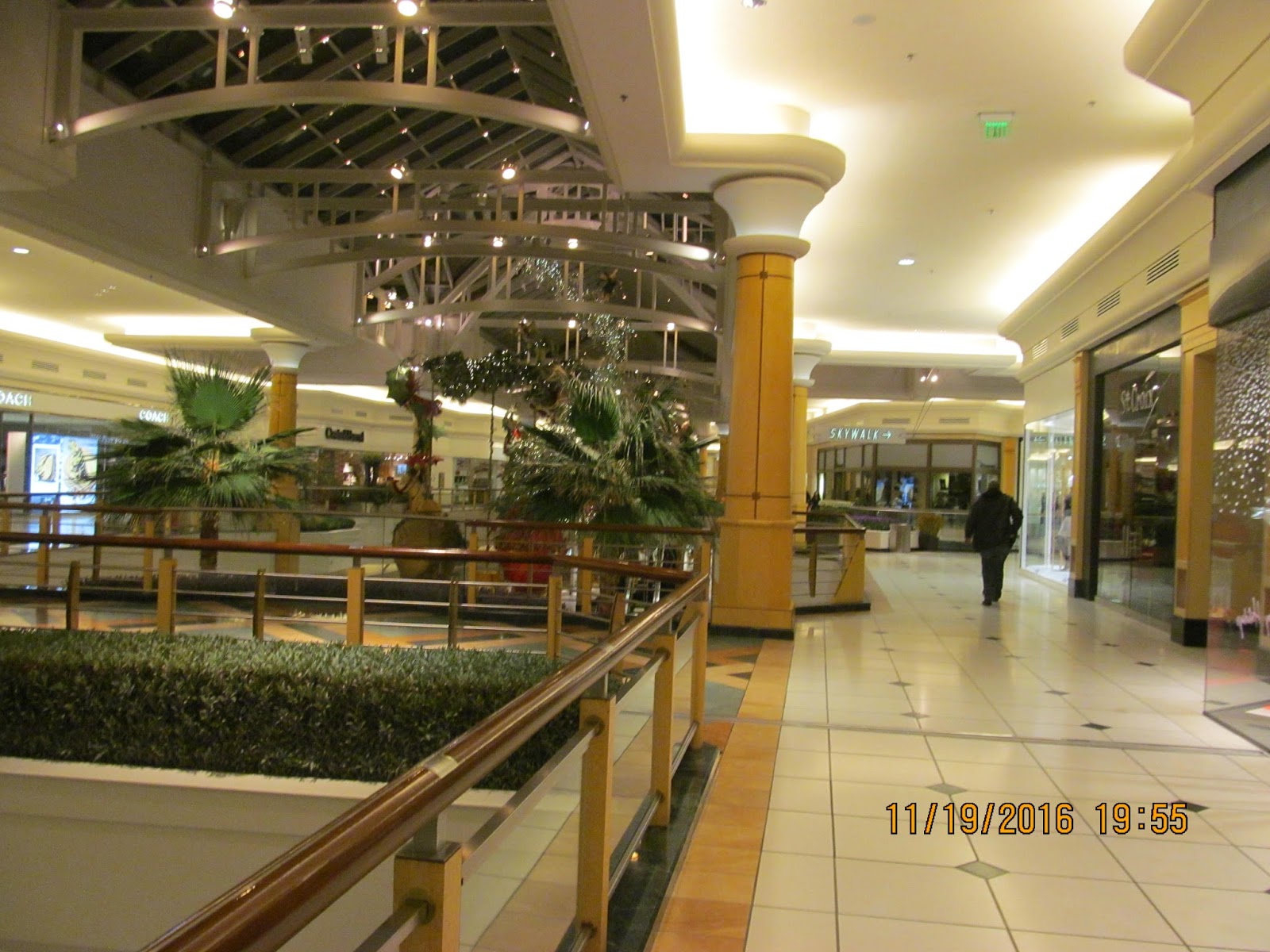 Trip to the Mall Somerset Collection (Troy, Michigan)