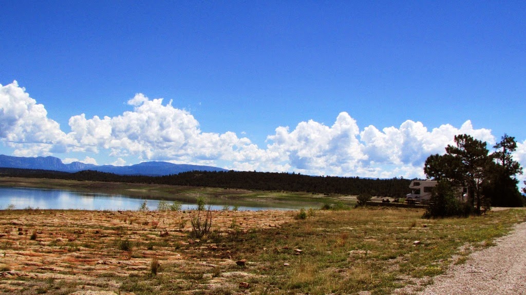 Me and My Dogand My RV Our overnight at Heron Lake State Park, NM