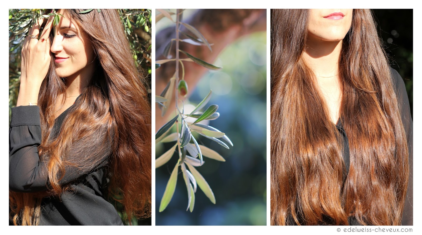 Journal Capillaire D Edelweiss Hair Mayonnaise Recette Miracle