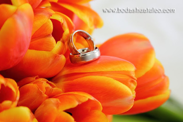 boda en playa, beach wedding, Oaxaca, México, Bodas Huatulco, Wedding Planner boda en playa, beach wedding, Oaxaca, México, Bodas Huatulco, Wedding Planner