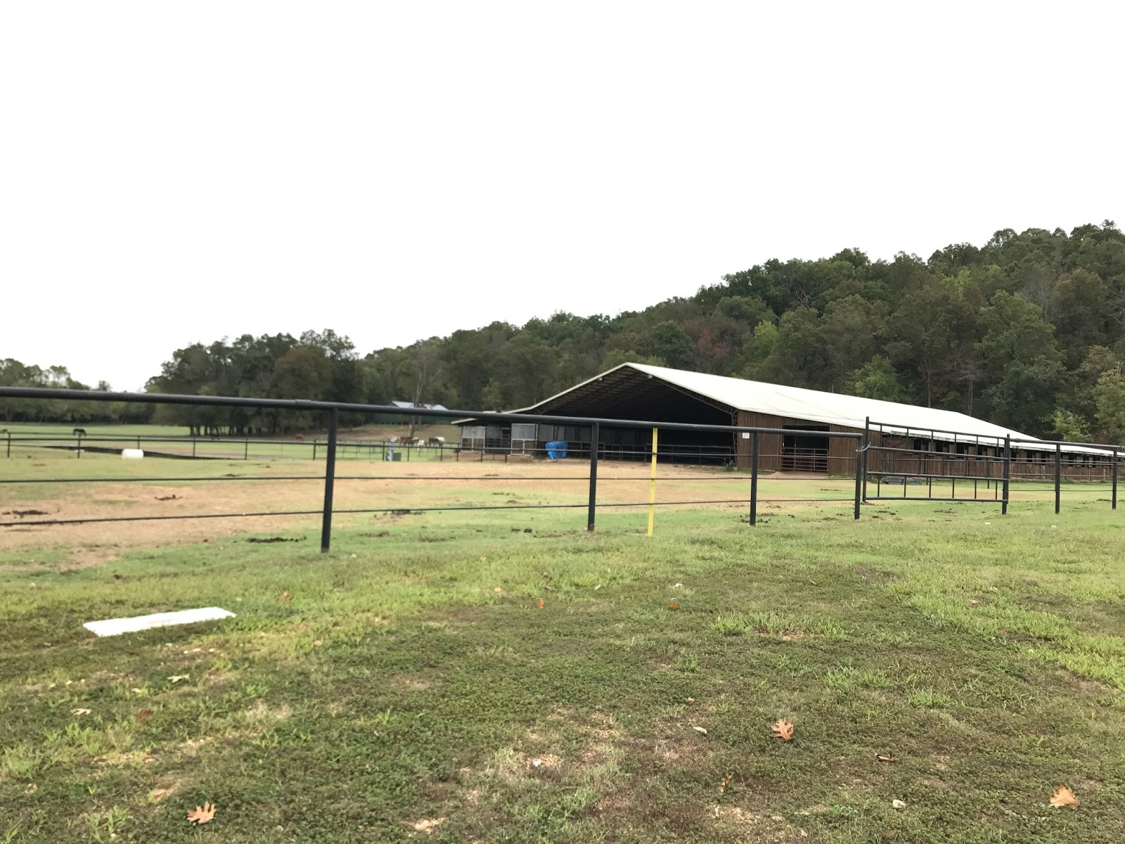 New Life Ranch in Colcord, OK