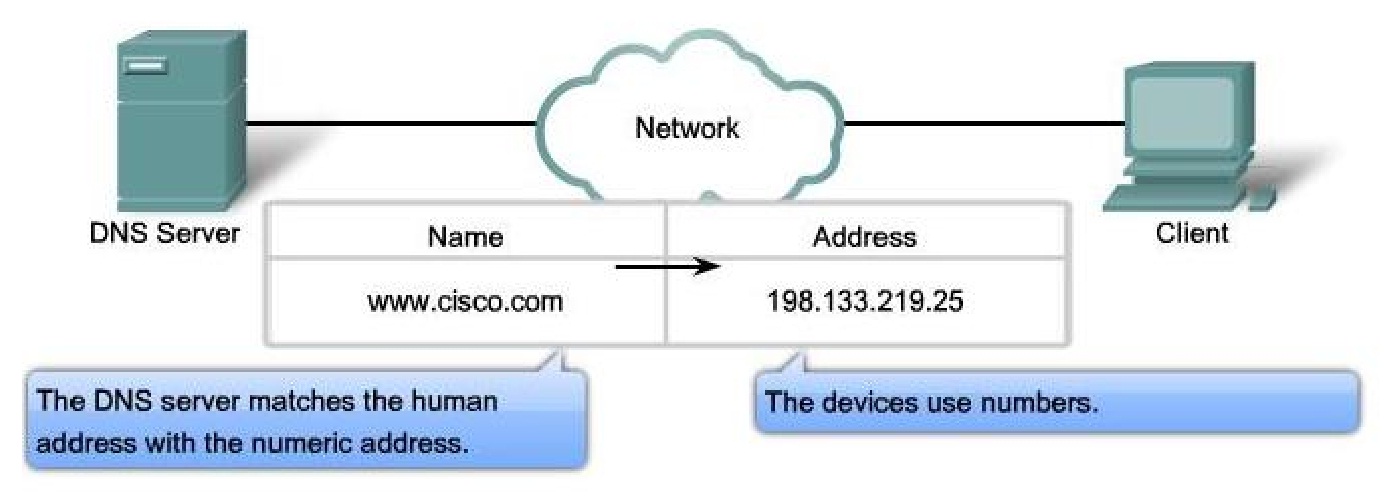 DNS-сервер. Domain name of the mail Server. Panda Servers. Https имя сервера