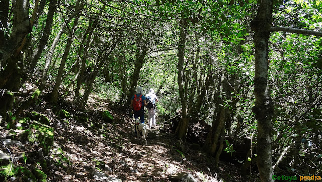 Ruta circular al Pico Mostellar y Lagos desde Burbia en León