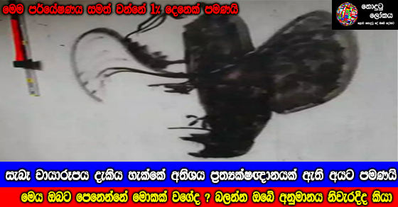Share